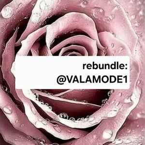 Rebundle: @VALAMODE1
